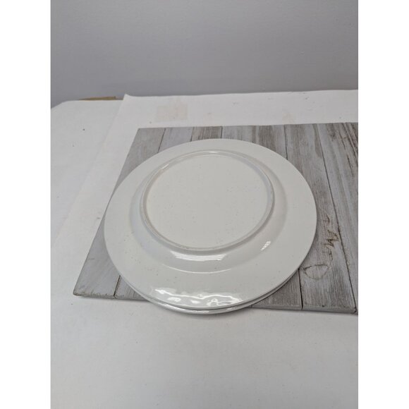 Vintage Schwans Set of 3 Dinner Plates White Brown Speckles Swan Logo 10 1/2" - Picture 6 of 7